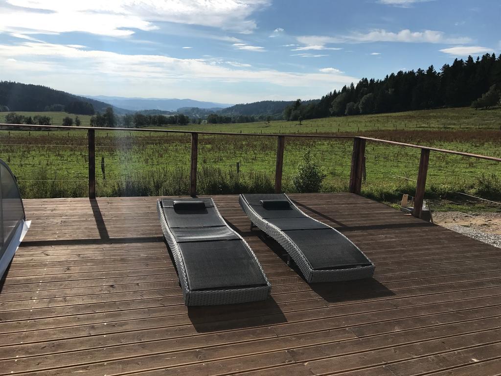 Vila Pasecna - Lipno Přední Výtoň Bagian luar foto